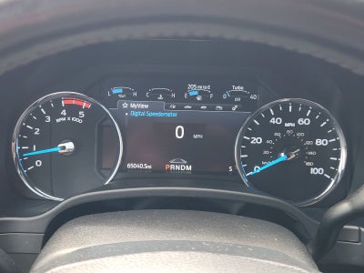 2021 Ford F-250 Platinum