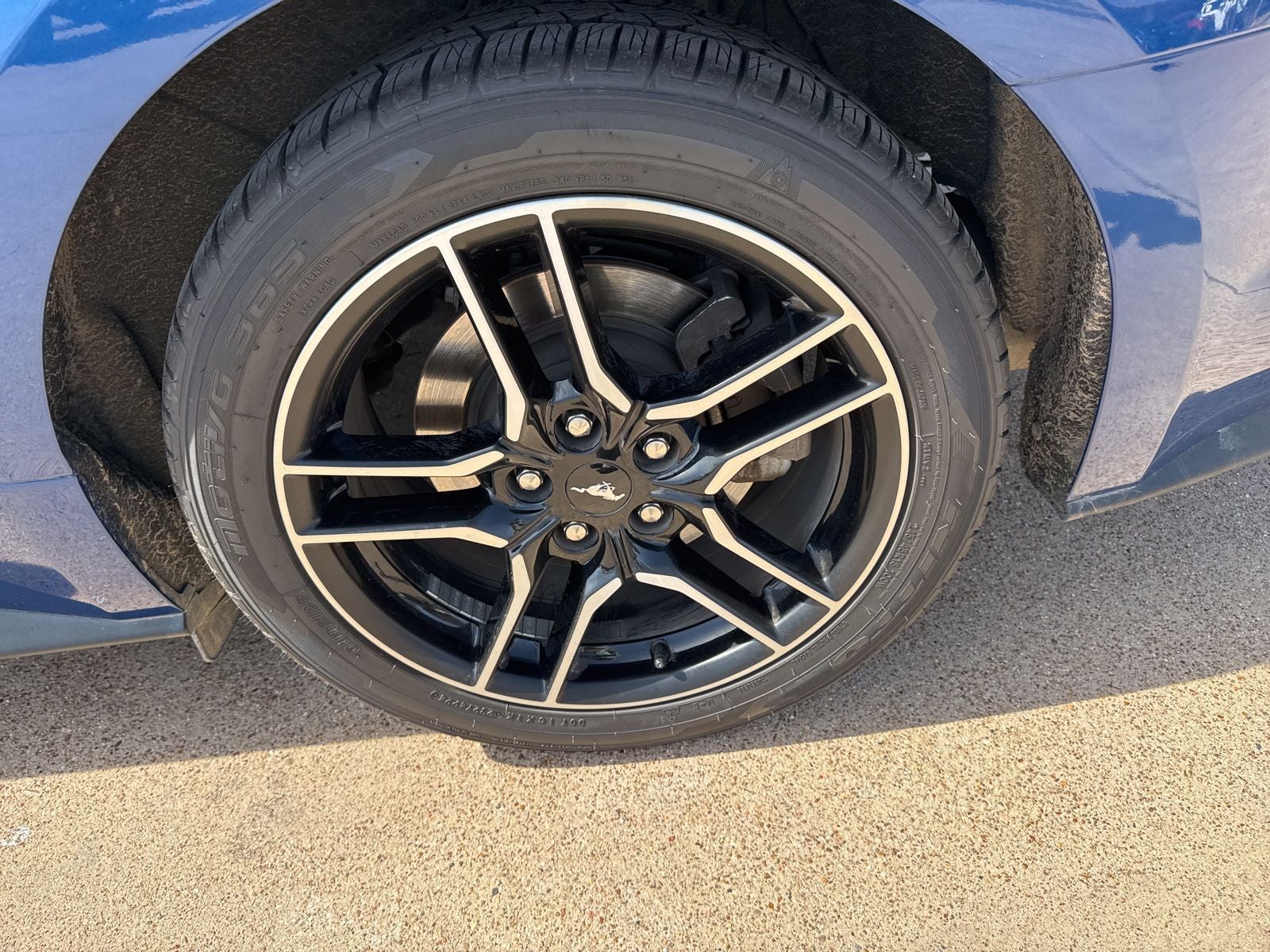 2022 Ford Mustang EcoBoost