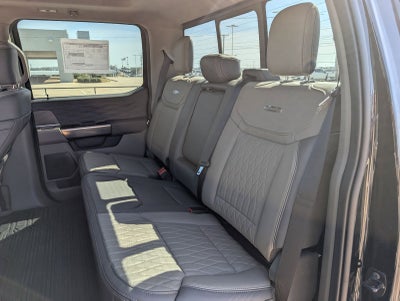 2025 Ford F-150 Platinum