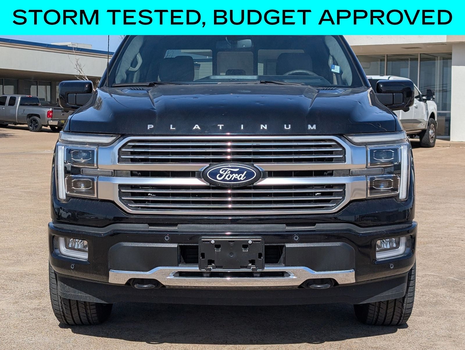 2025 Ford F-150 Platinum