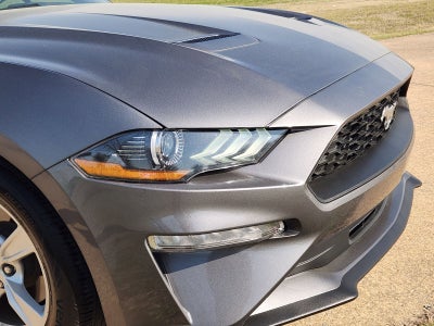 2021 Ford Mustang EcoBoost