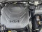 2024 Kia Telluride SX-Prestige X-Pro